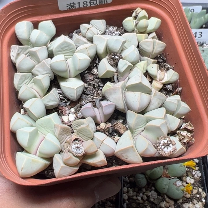 【闪购商品】 854。