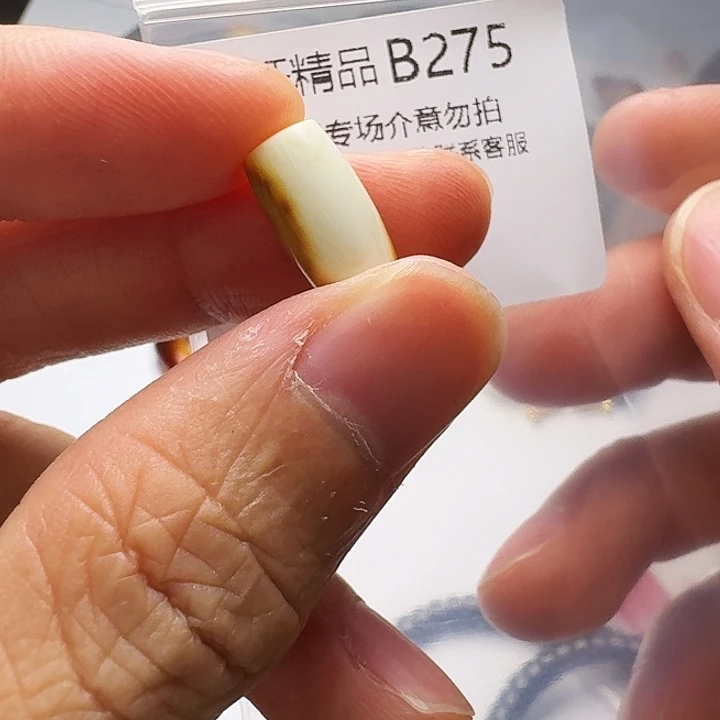 裸石琥珀未镶嵌琥珀