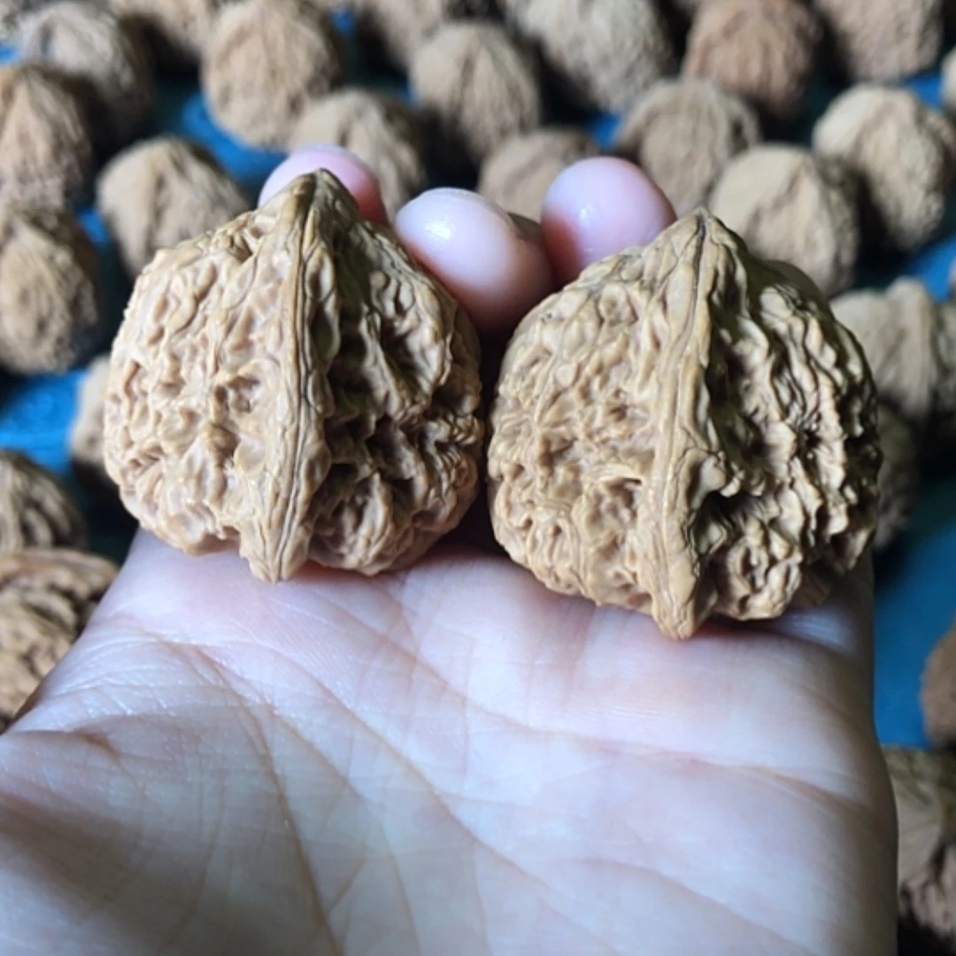 【闪购商品】文玩核桃把件一代将