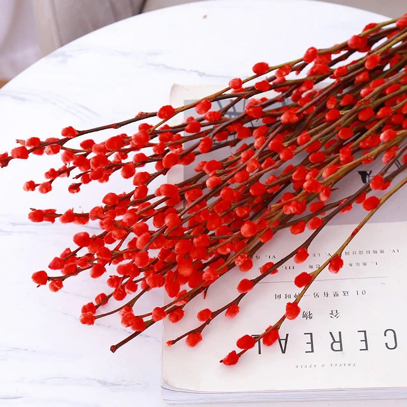 【买10送10】大红色银柳真花鲜枝春节年宵花卉客厅摆件干花红色