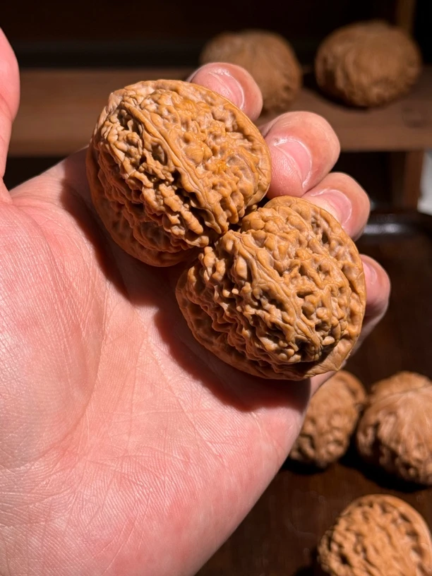 逐鹿三角疆 尺寸39 全品 文玩核桃 一图一物