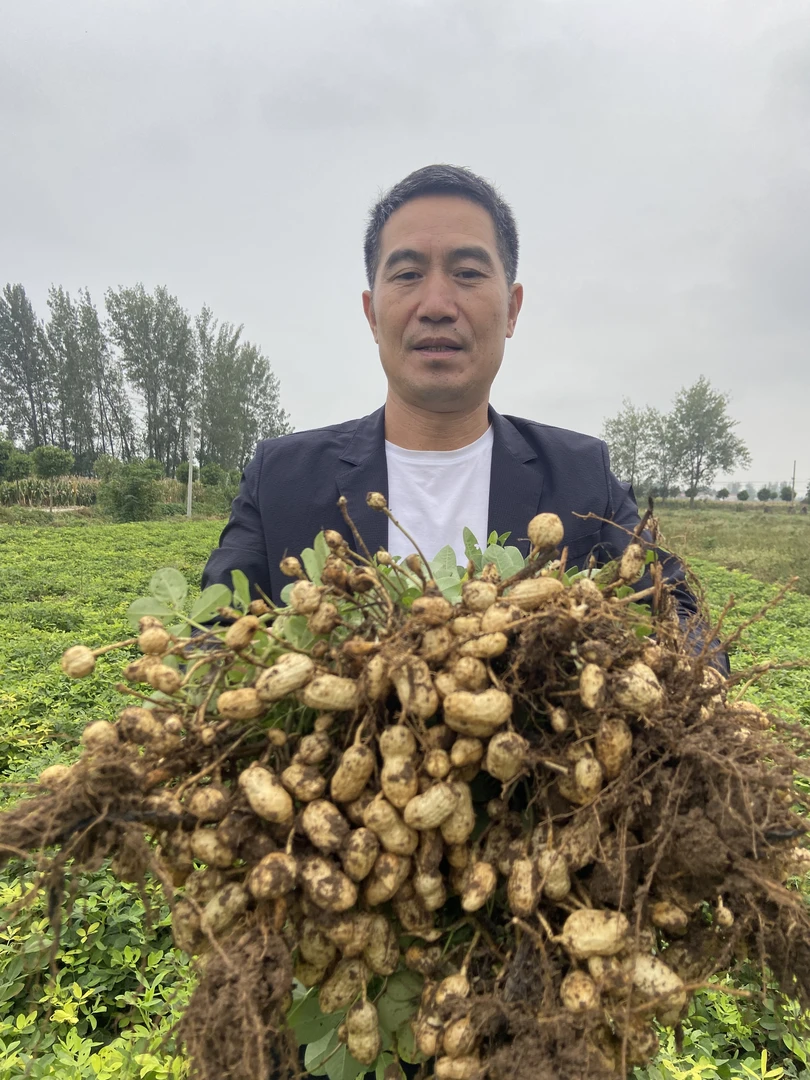 农家自种新鲜现挖带壳带泥湿花生可水煮生吃香甜饱满