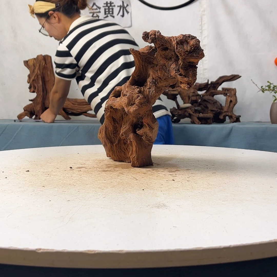 沉木造景寄居蟹景