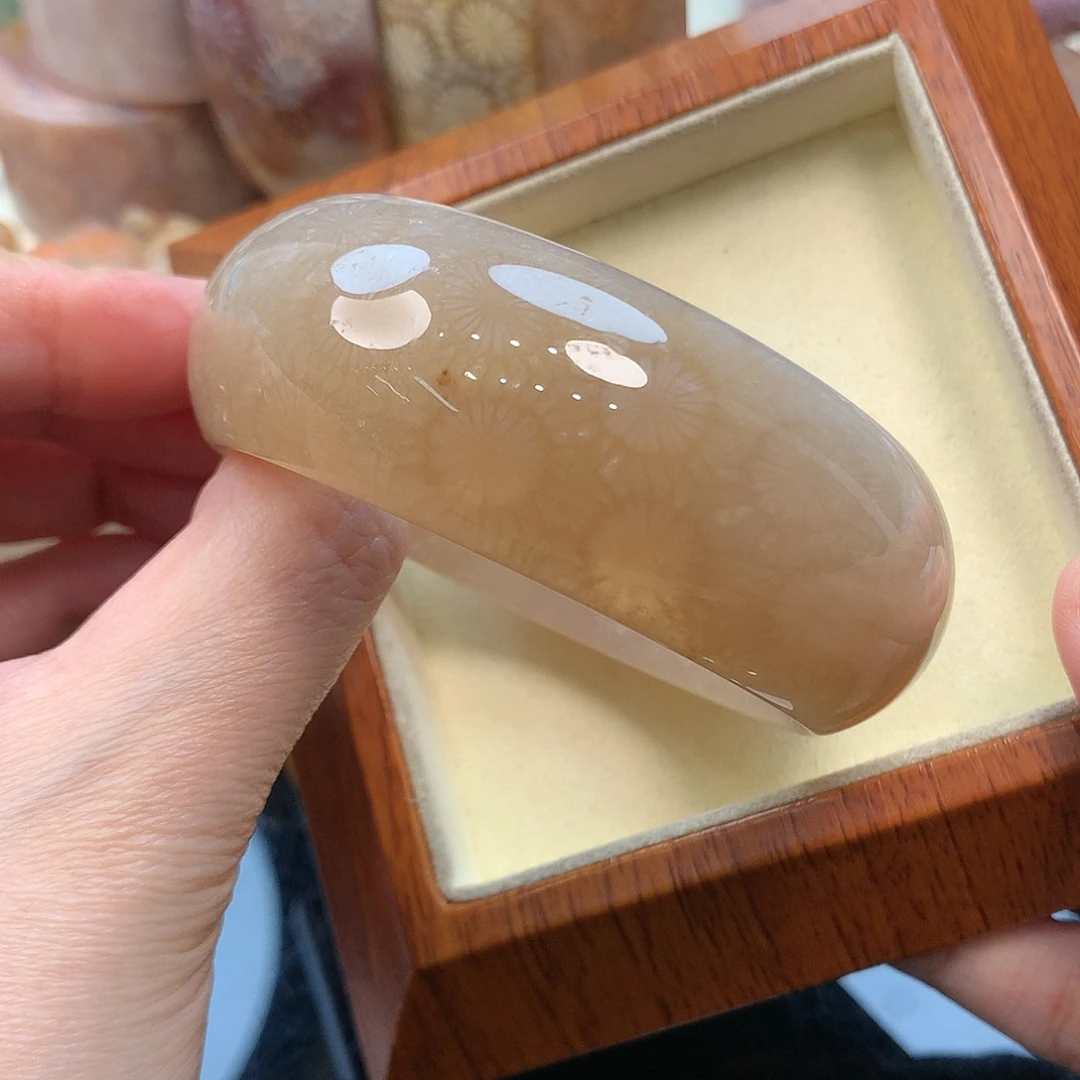 未镶嵌手镯硅化珊瑚（珊瑚玉）57口2500