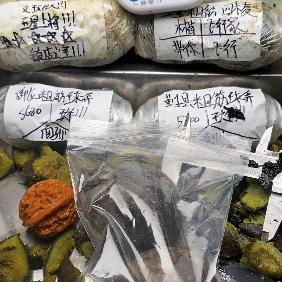 橘***吃干哈哈宝宝你宝宝宝宝好