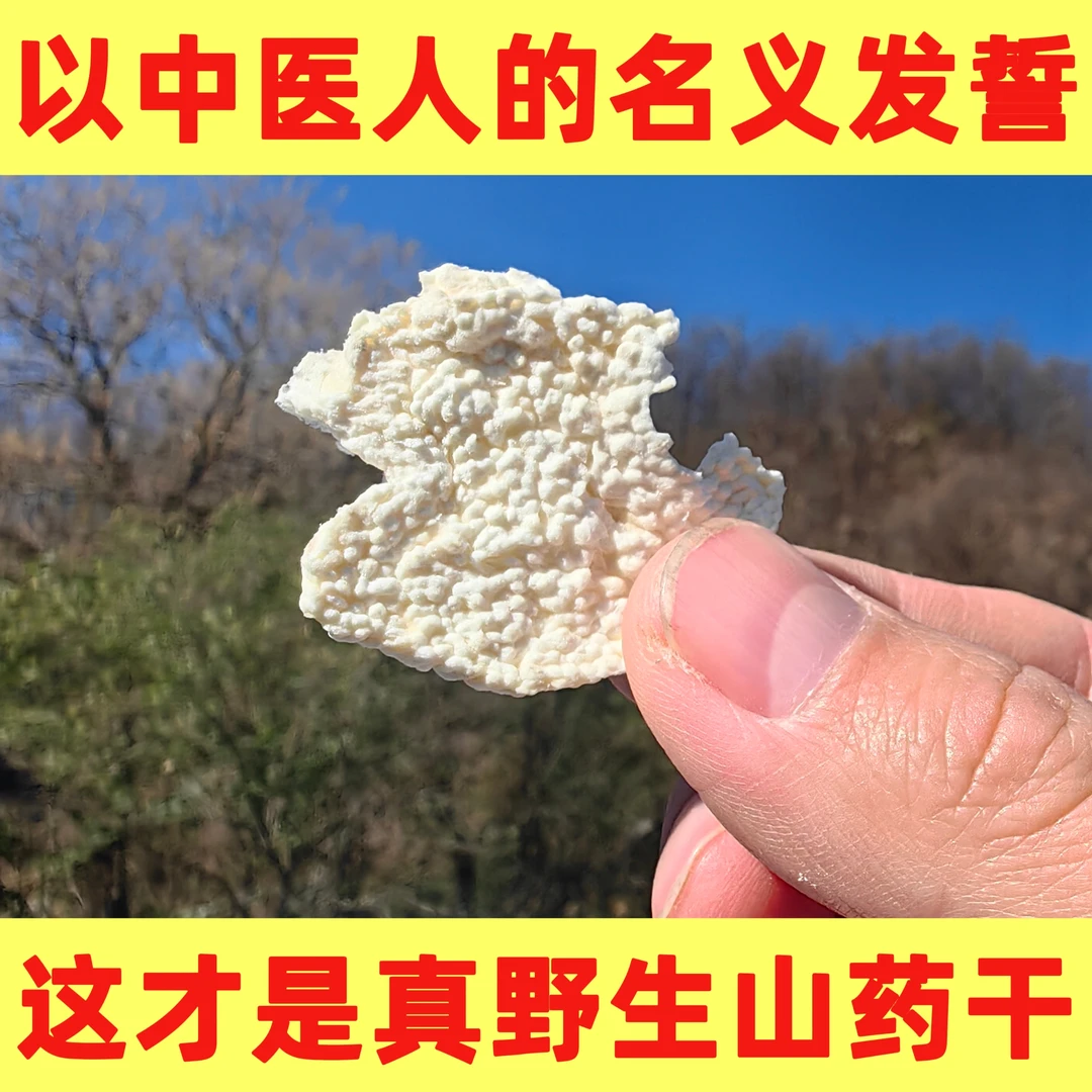 真野生山药农家大山深处挖野山药窦爸爸真野生山药干