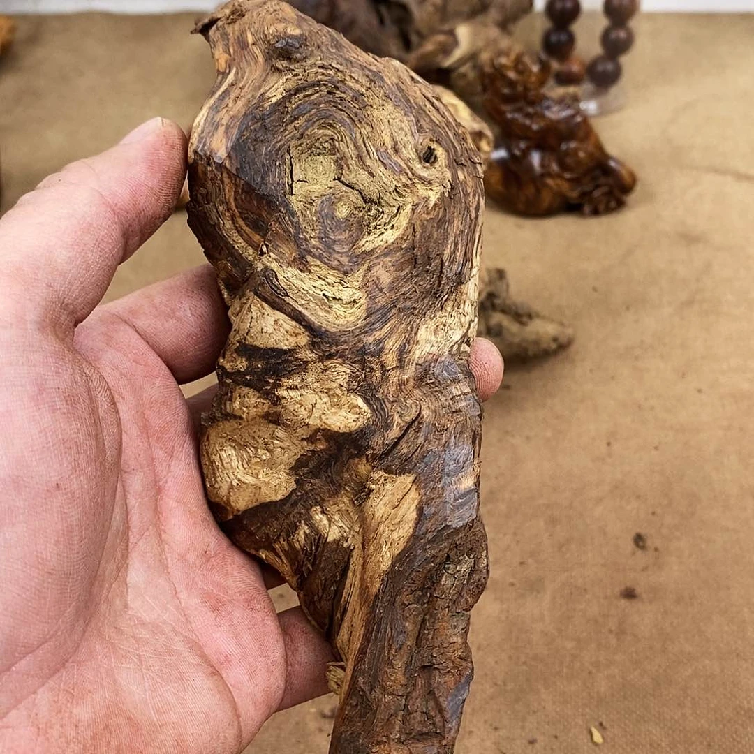 木桃*岛原材料……………………