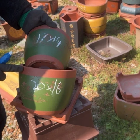 紫砂花盆紫砂花盆盆景盆栽