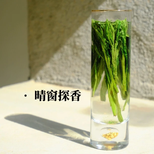 【晴窗探香】太平猴魁核心产区猴坑古道手工高山茶园高品质兰花香
