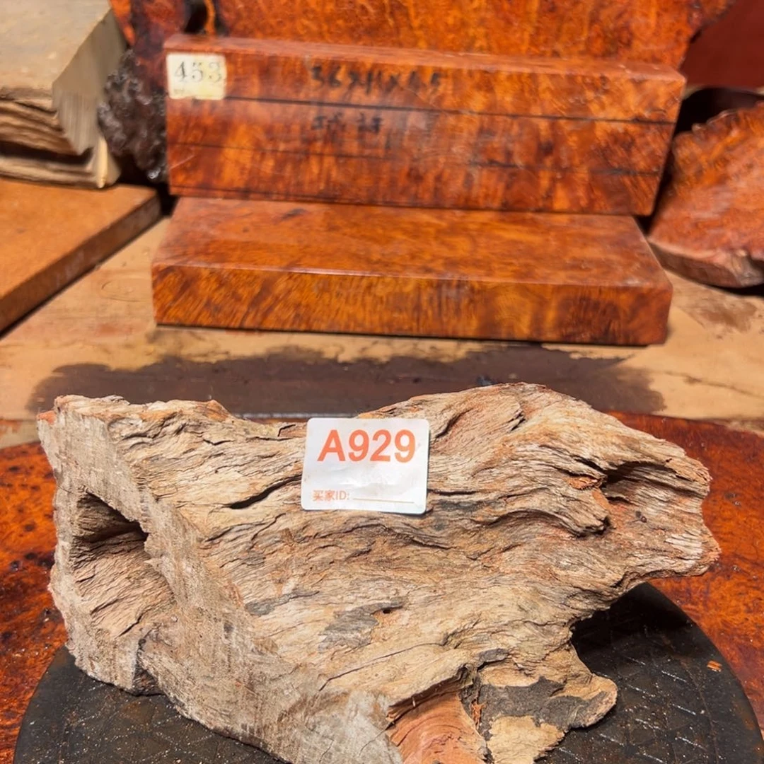 大果紫檀（缅甸花梨）