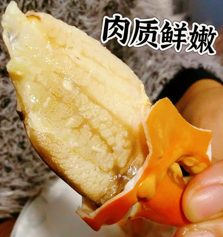 鲜活发货8只装母蟹单只约2两签收马上开箱不建议原只清蒸