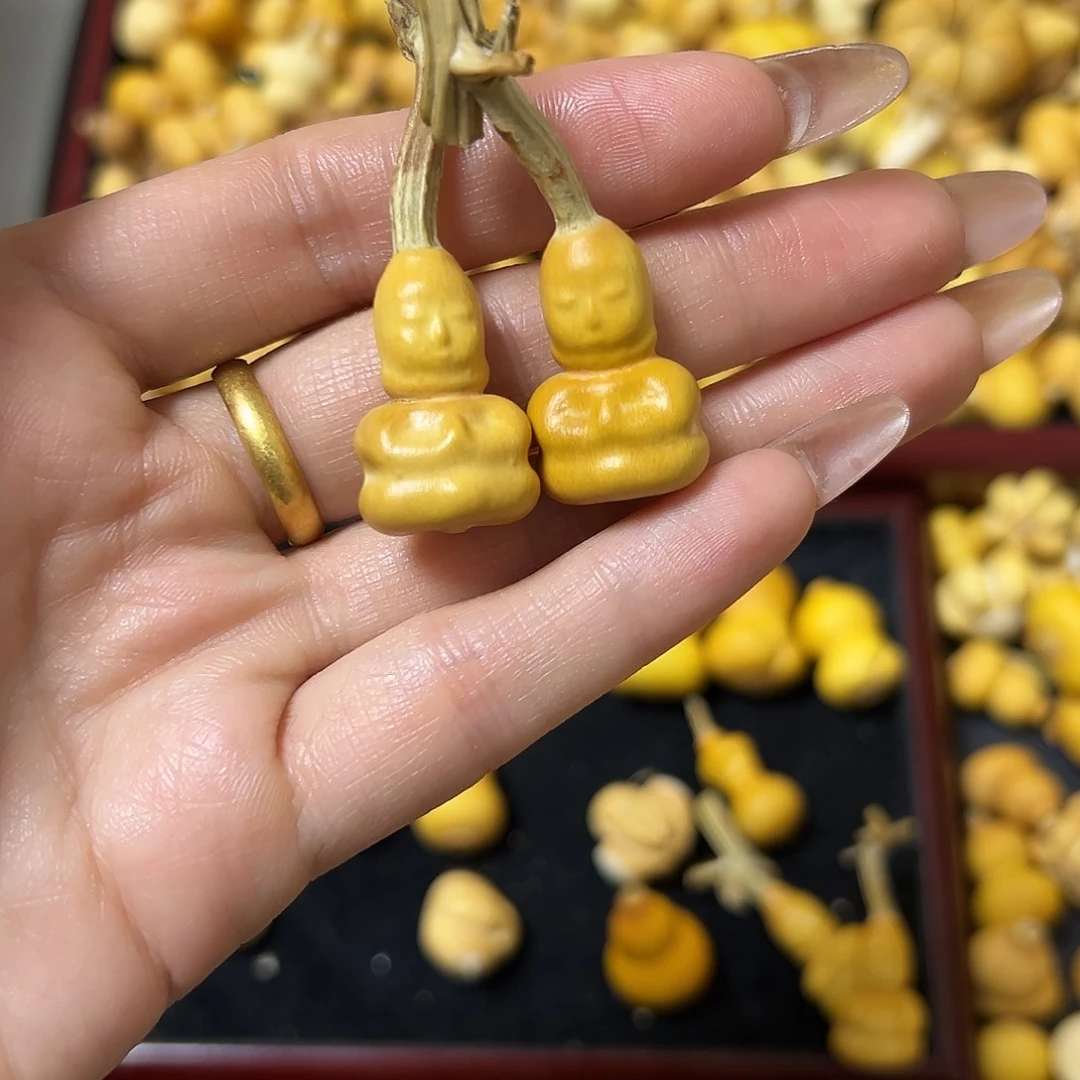 B****。葫芦葫芦葫芦葫芦