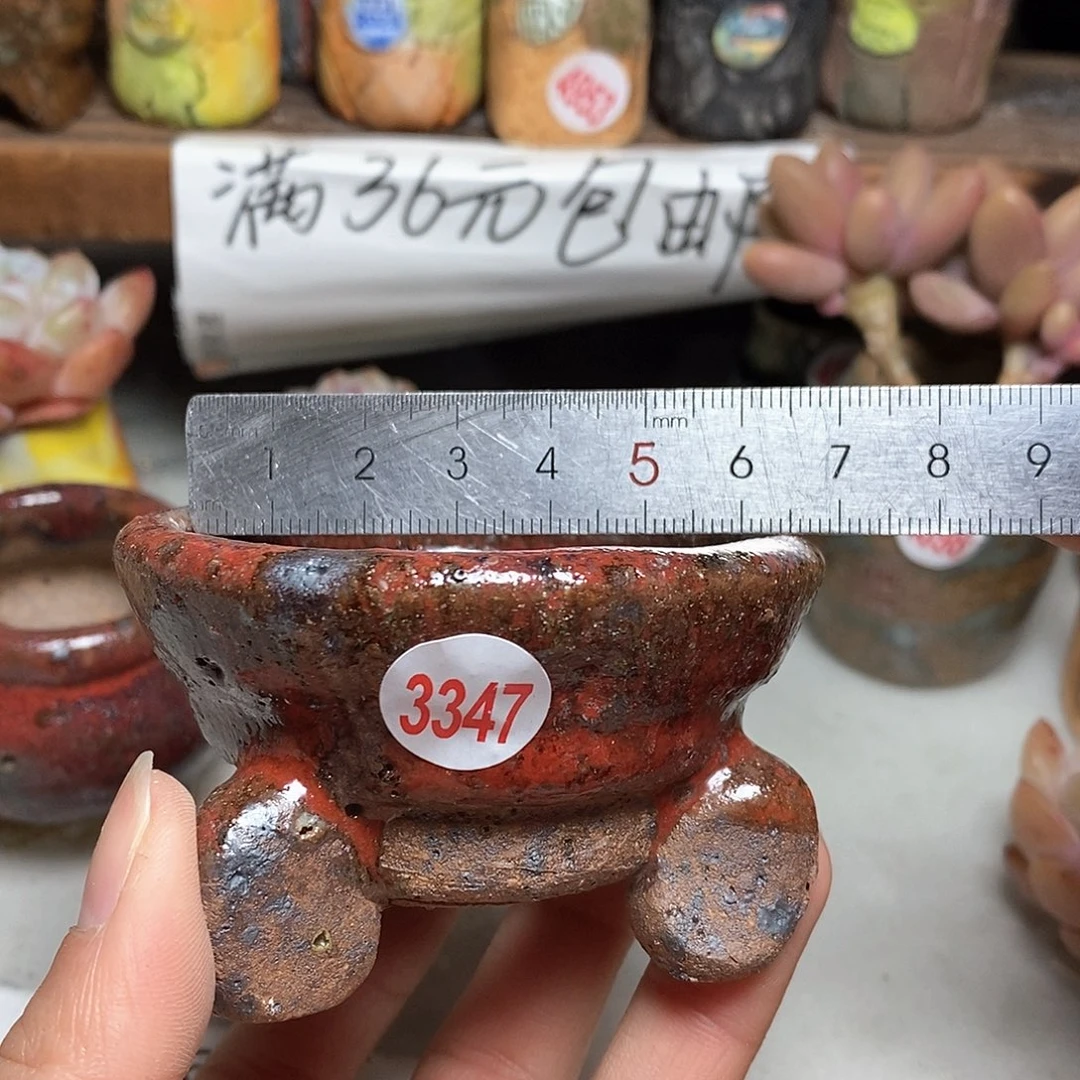 红陶拍5送一个小