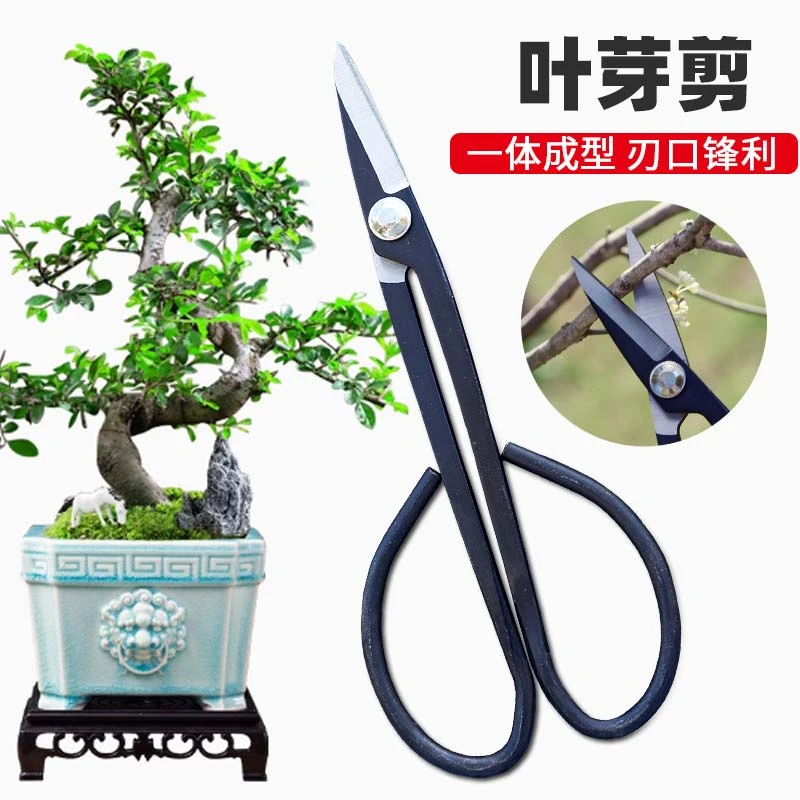 叶芽剪盆景兰花芽分苗剪子采摘葡萄专用盆栽蔬菜水果修小枝芽剪刀