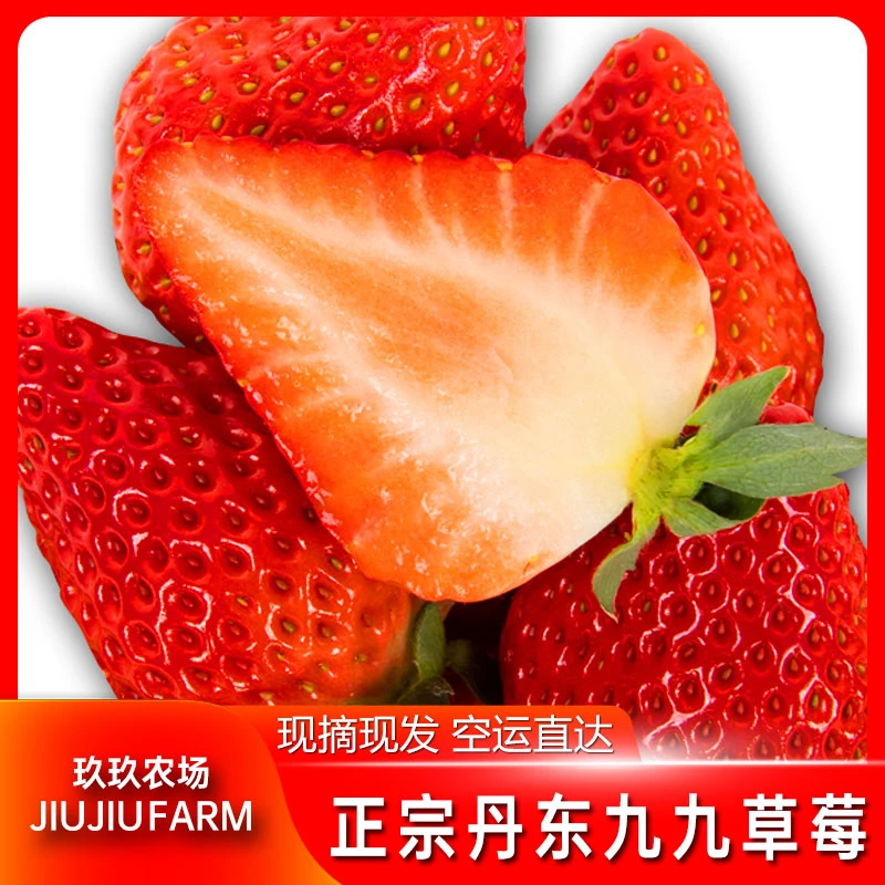正宗丹东99草莓1.5/2.5斤装红颜东港草莓礼盒装现摘新鲜水果小白