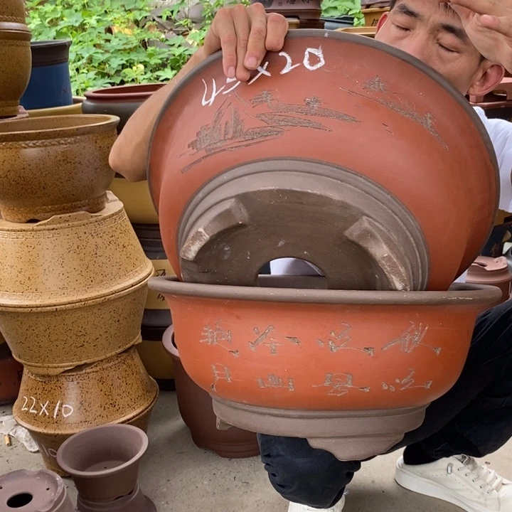 花盆紫砂紫砂艺术学院美术学院油画