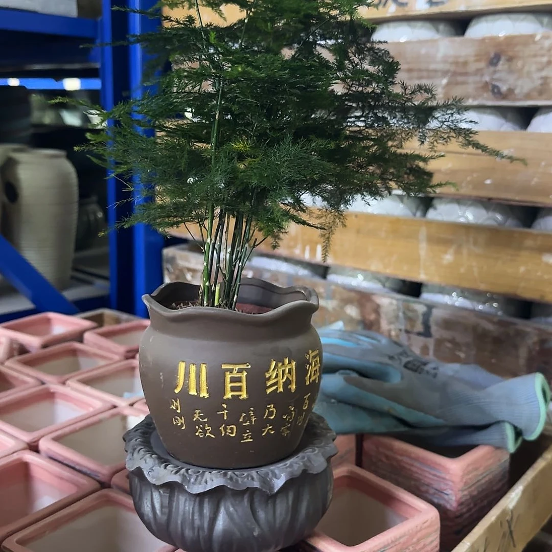 3件套福利局绿植多肉盆［凑9元包邮24小时发］