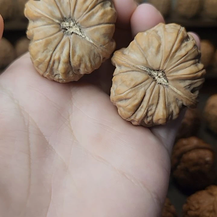文玩核桃吊坠肚43南瓜顿