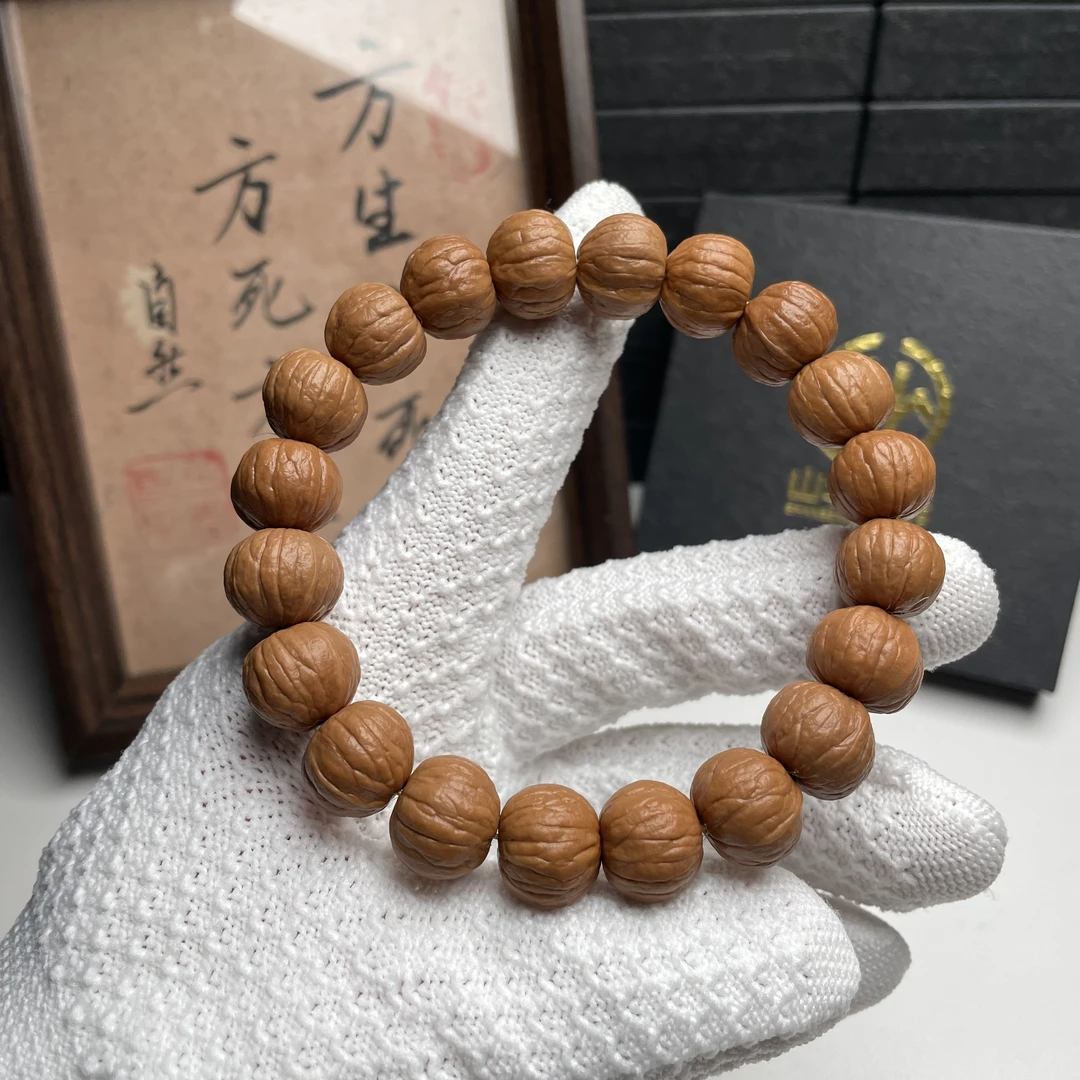 【山北猴头】精品双鳍南瓜原皮