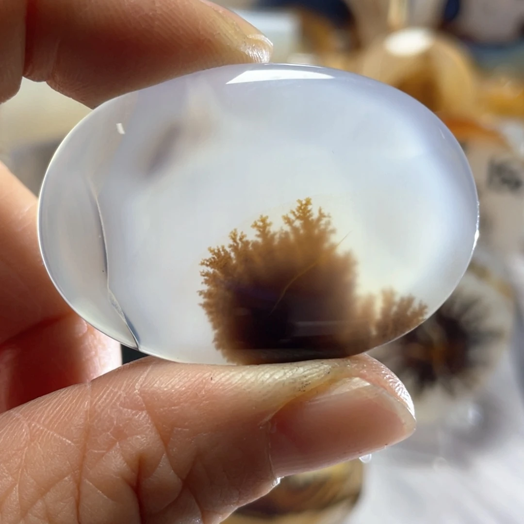 【闪购商品】玛瑙/玉髓颈饰合金