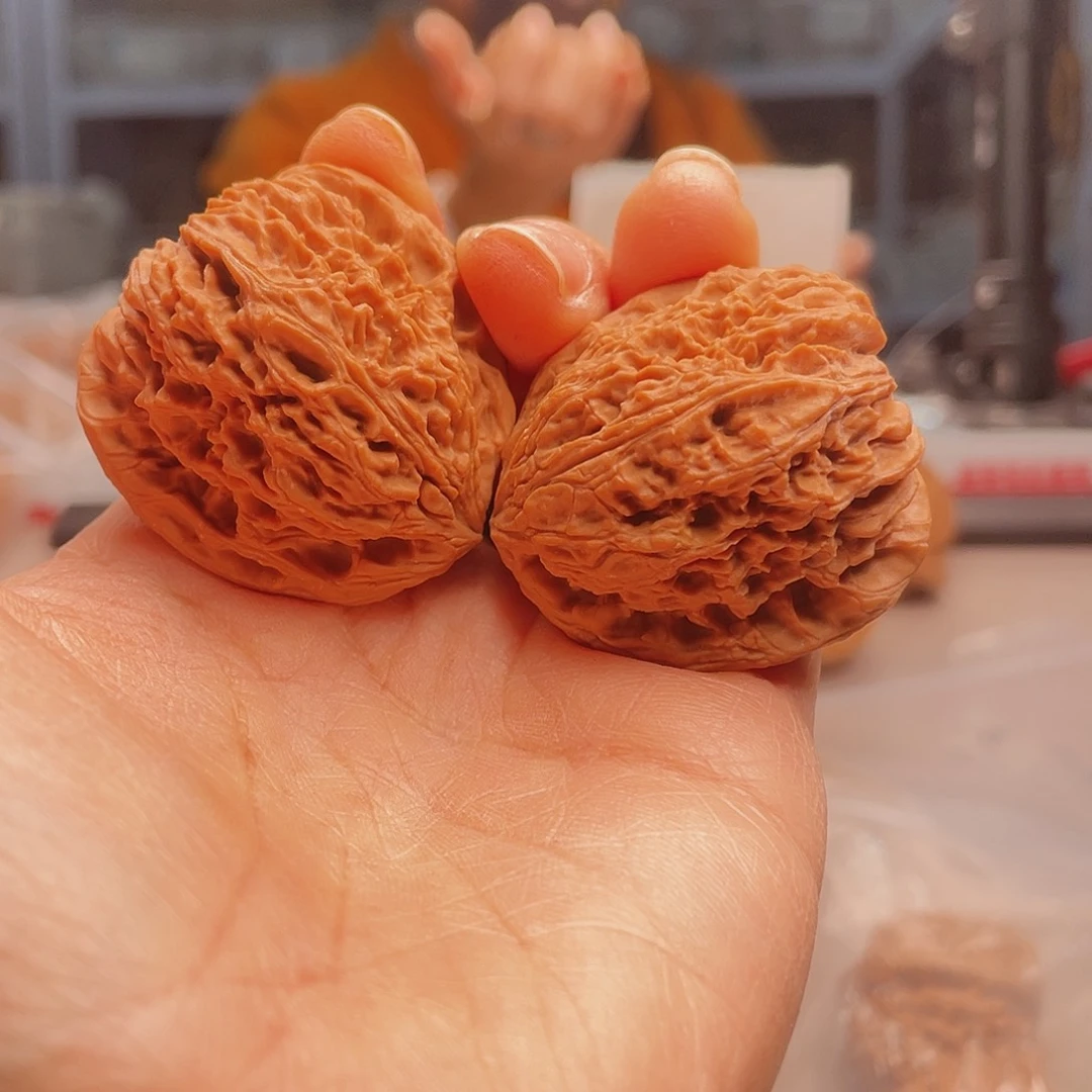 允*猴头虫目之人