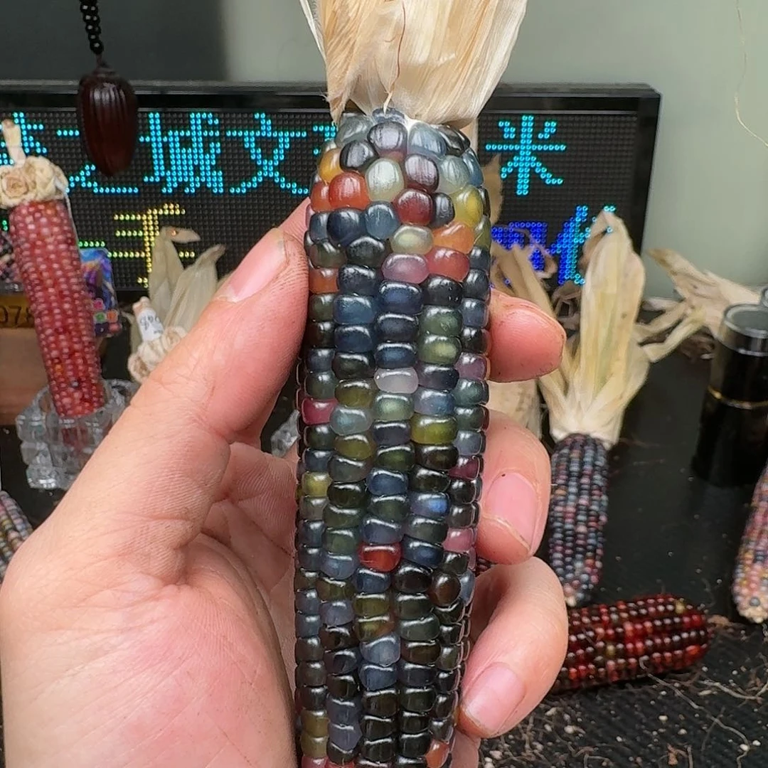 柏香籽/百香籽吊坠1*