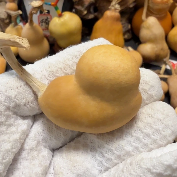 惊***蛰666666766666777777888