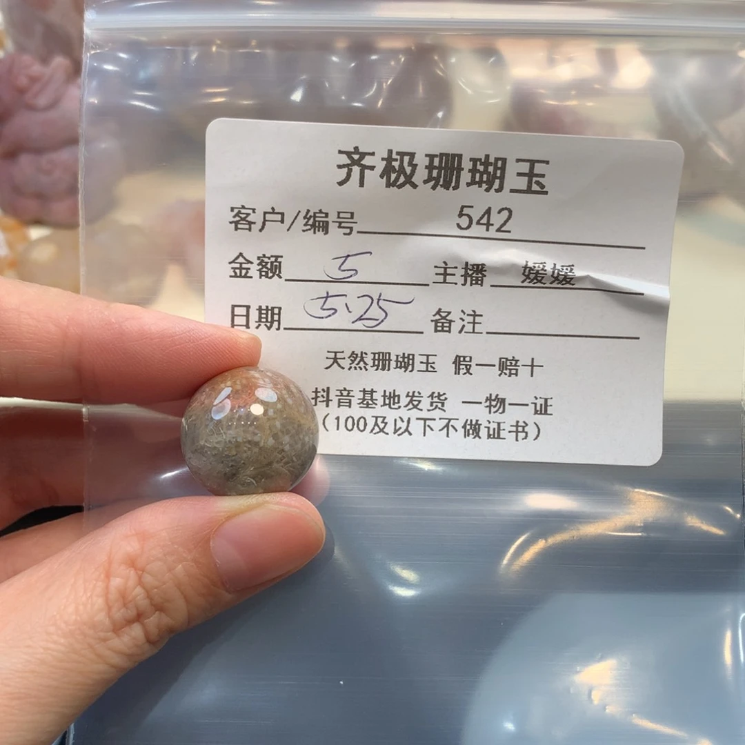 硅化珊瑚（珊瑚玉）未镶嵌颈饰五*