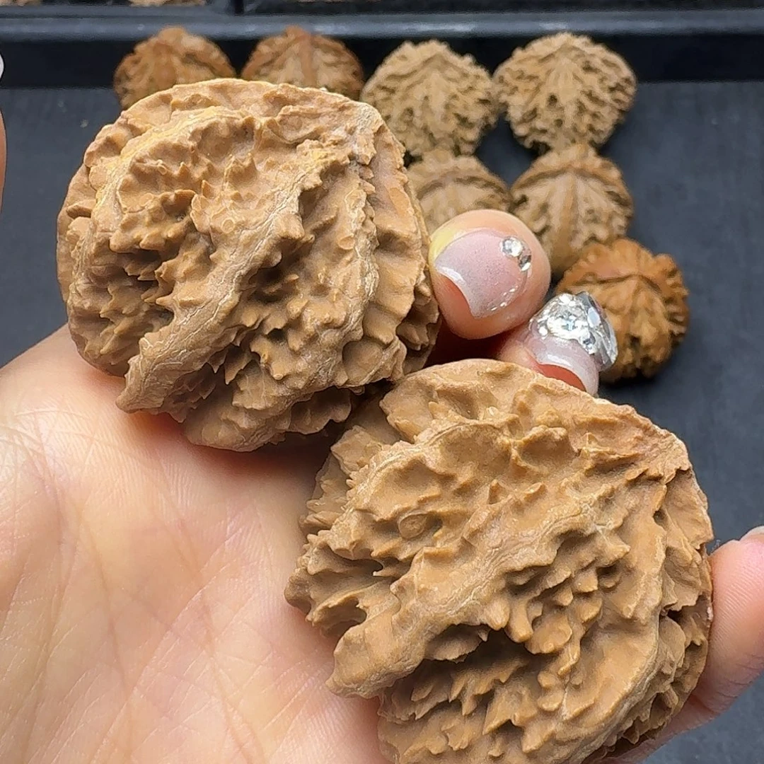 桃木突突突突突突突