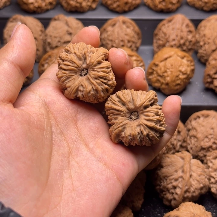 核桃手串/手链一***.南疆35