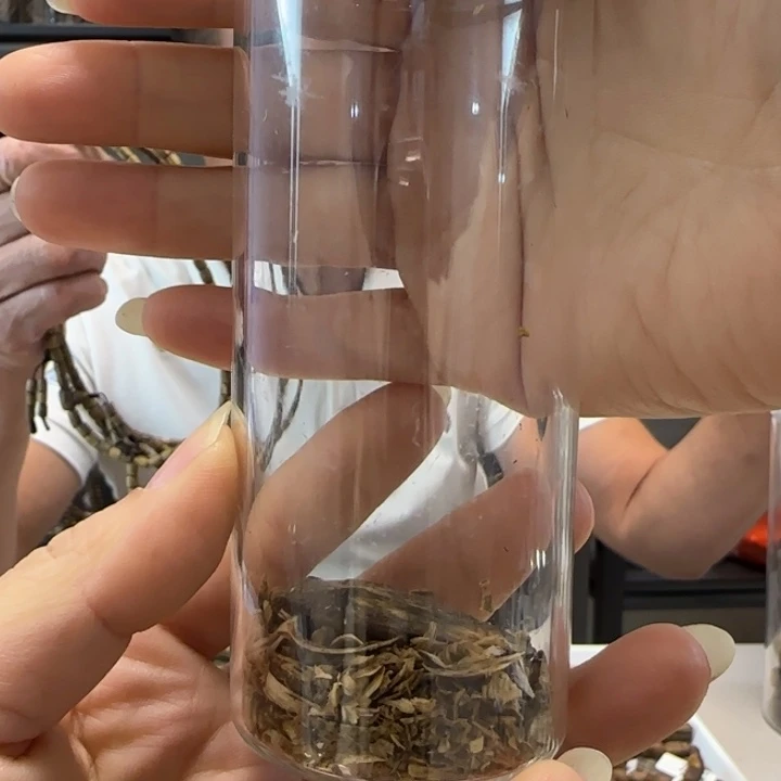 沉香碎屑沉香原材料6双