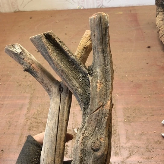 大果紫檀（缅甸花梨）小*