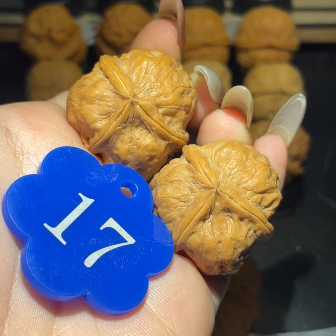 三棱32尺寸核桃。