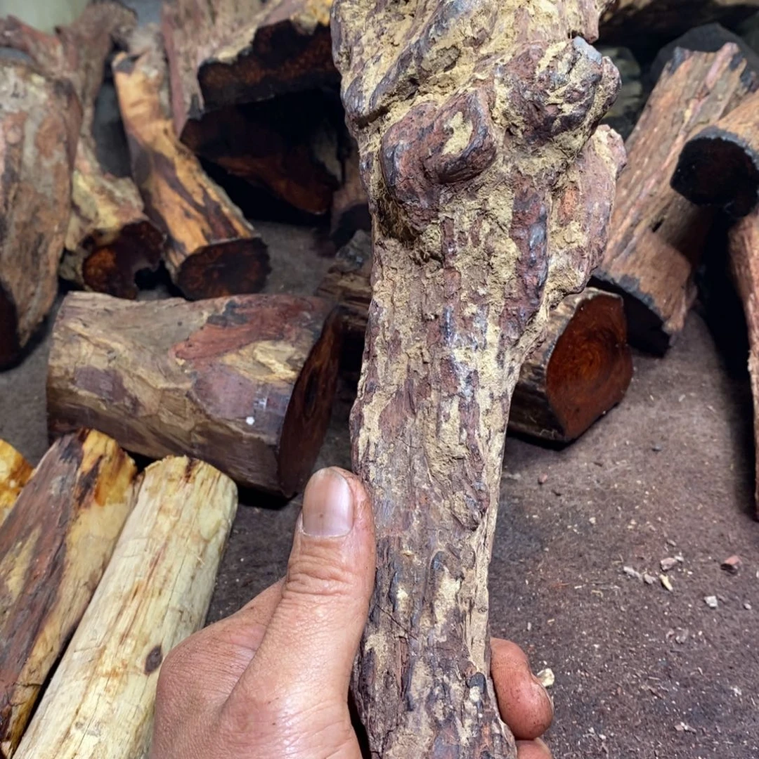 仁***来有机玻璃在线函数等方面