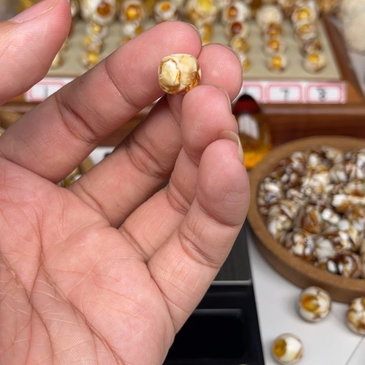 琥珀裸石未镶嵌冗*43号