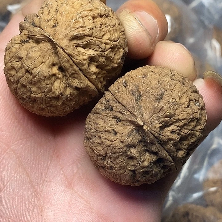 把件文玩核桃云南铁核桃B37