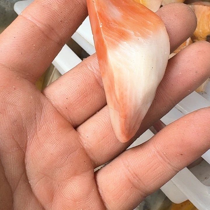 寿山石小**吖老挝石素质