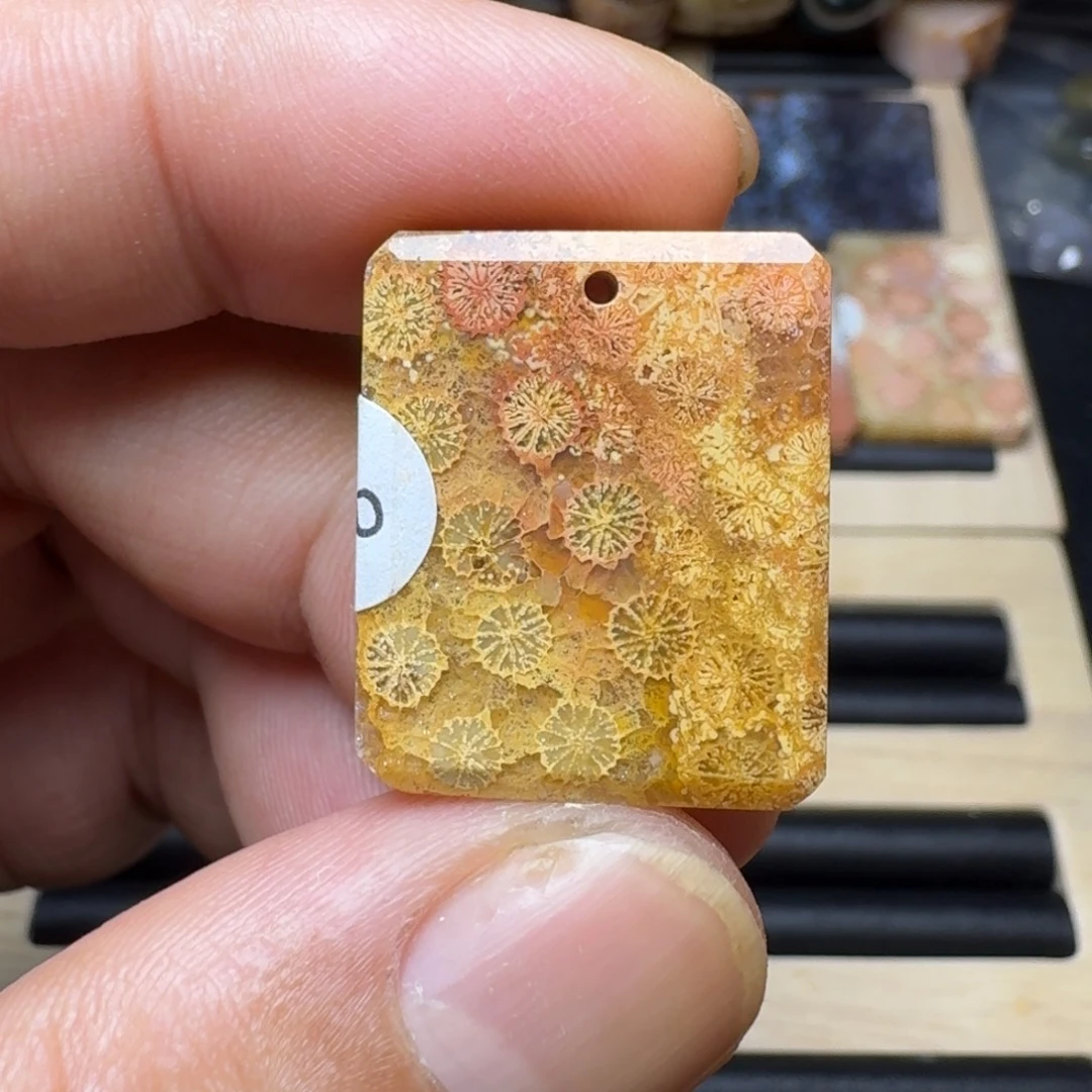硅化玉未镶嵌纯天然色有机玉石保真色