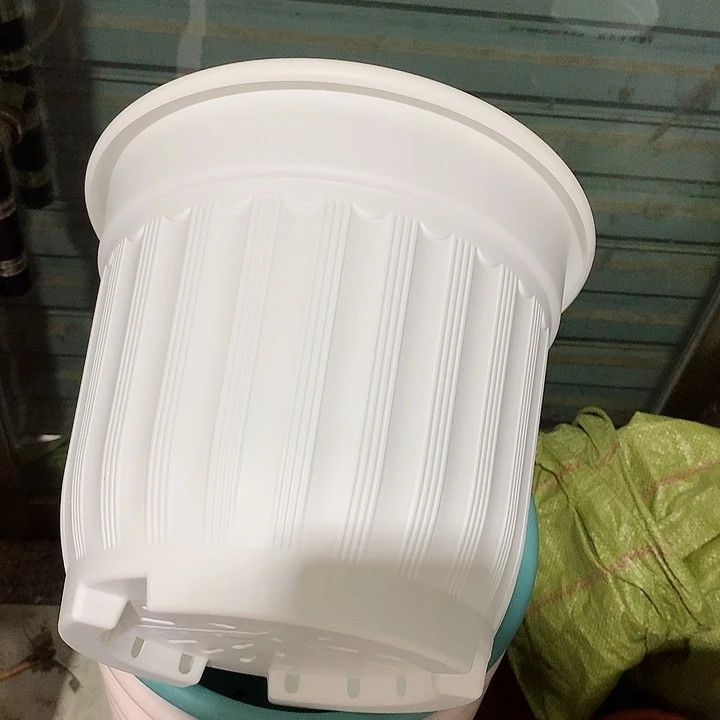 罗马口28白8个无托