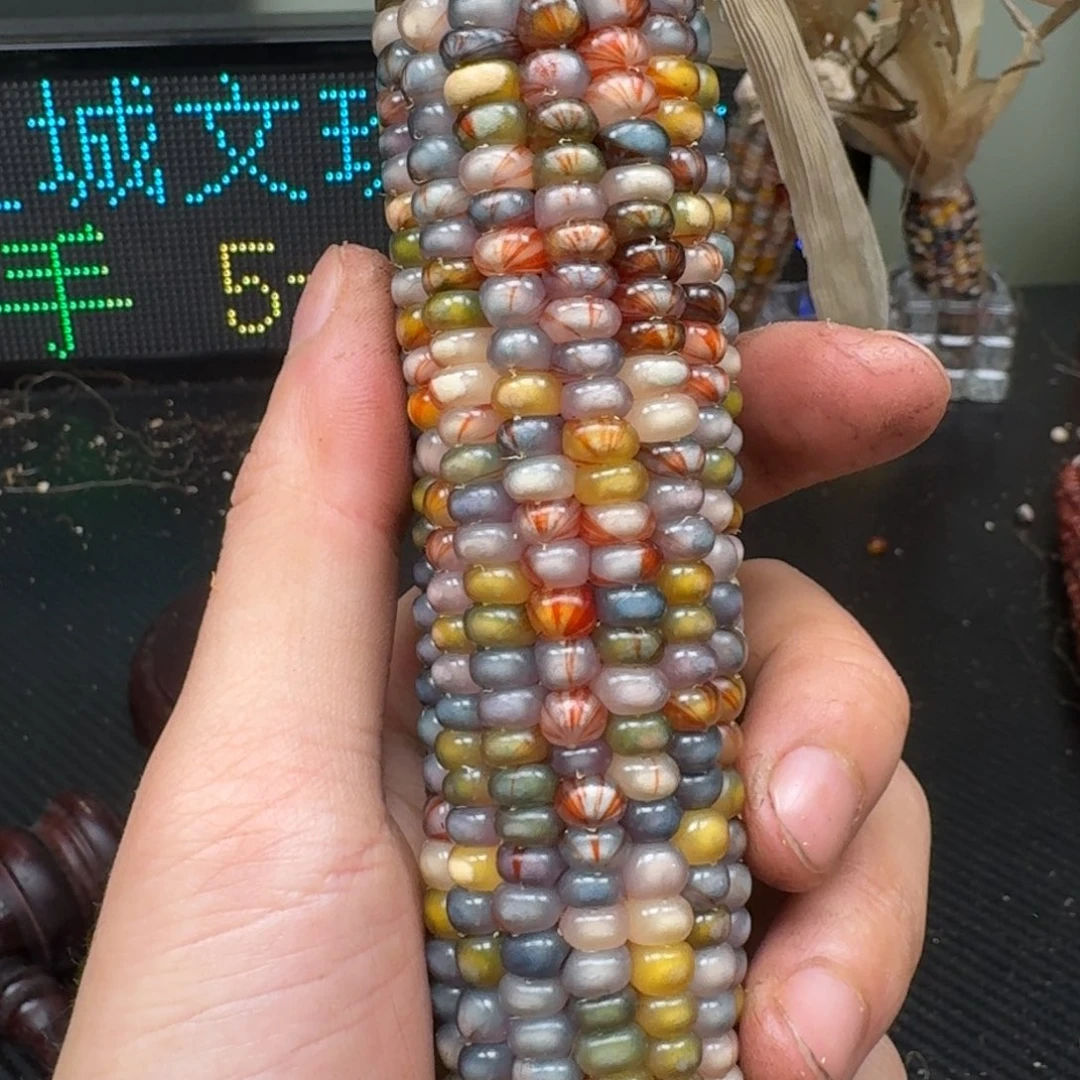 柏香籽/百香籽吊坠米*