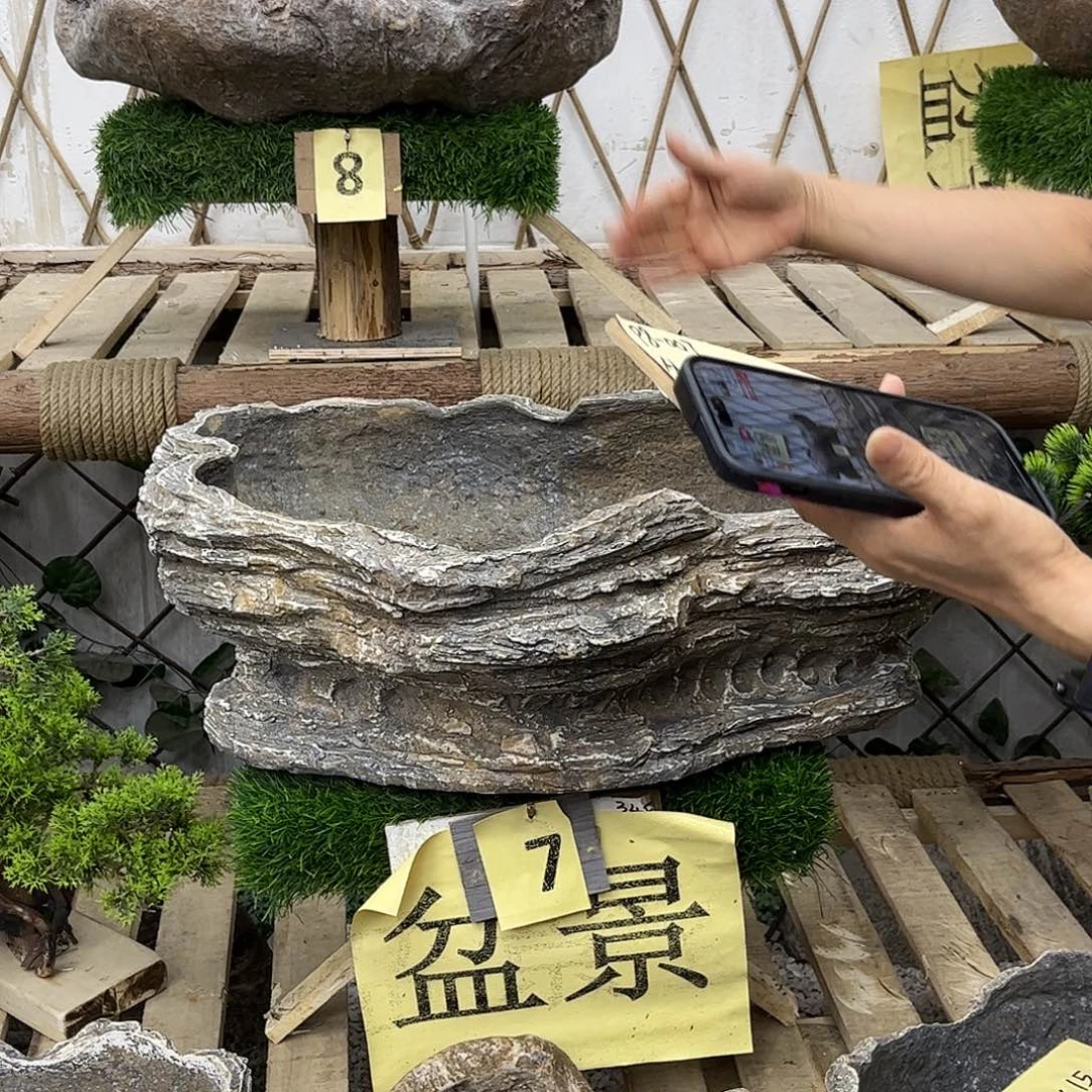 盆景盆盆景盆P8-007