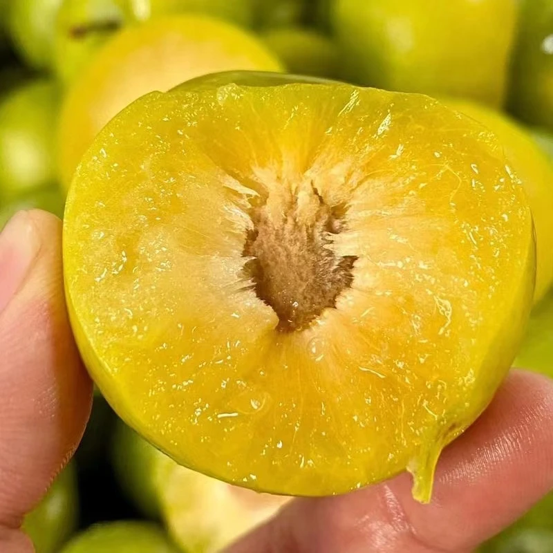 （顺丰/京东）正宗蜂糖李新鲜发货超甜多汁5斤