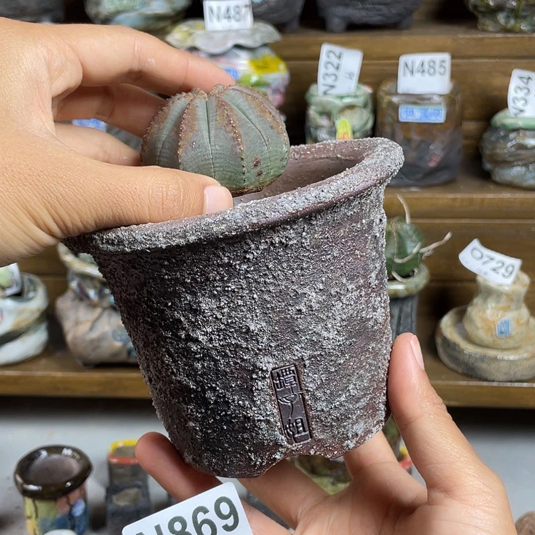 坛子姐花盆 球盆 内口9不含球