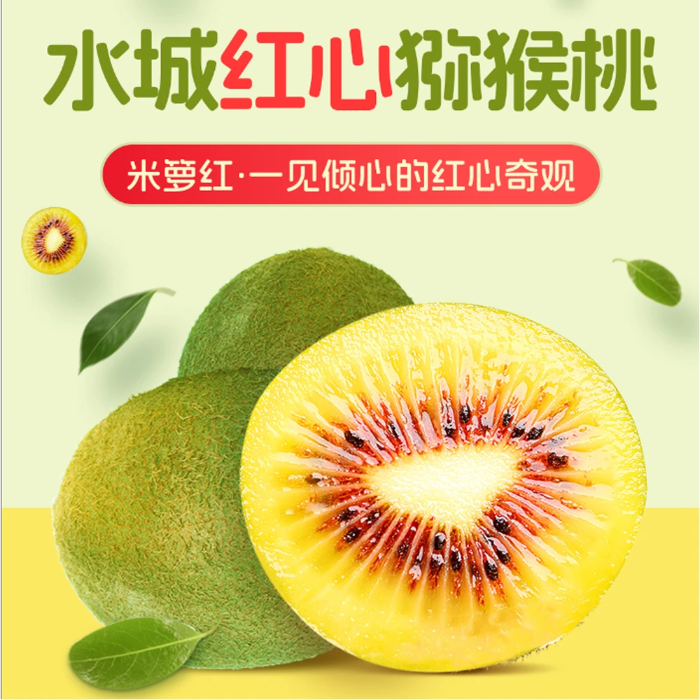 【送礼猕猴桃】贵州水城红心猕猴桃当季新鲜水果奇异果产地直发
