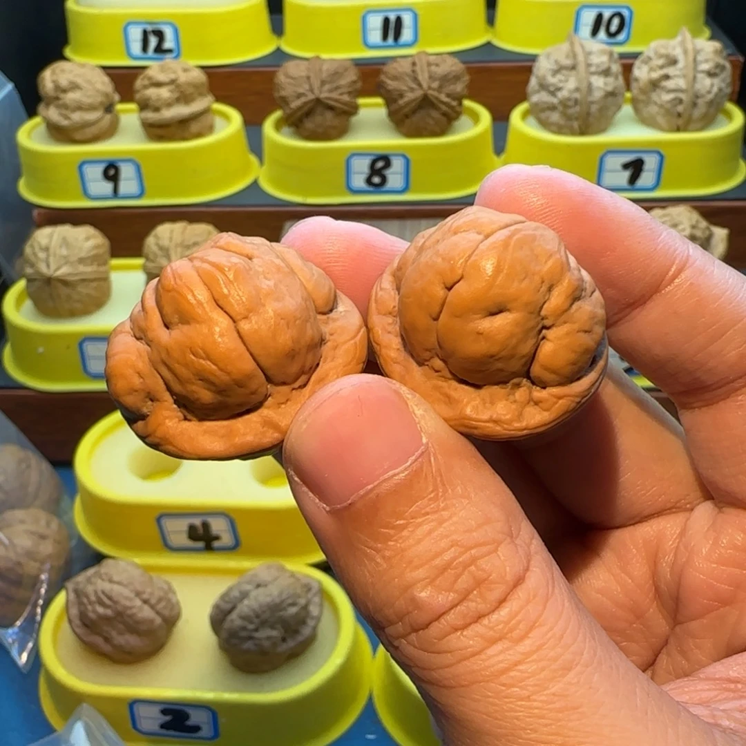潤***土桃核把件金刚鹦蟾