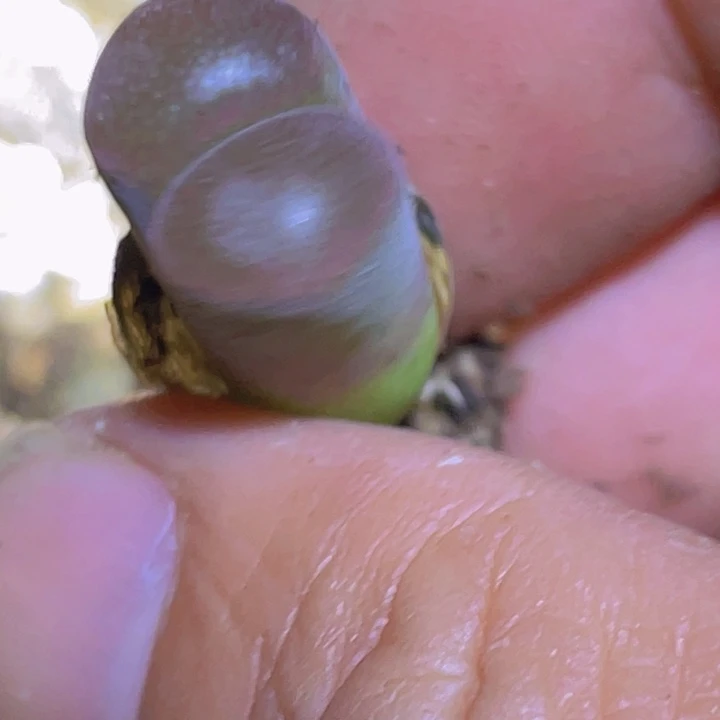 1888888888998888888858