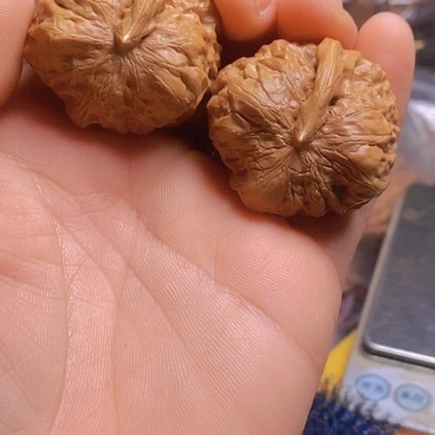 桃核把件蛤蟆头一根筋