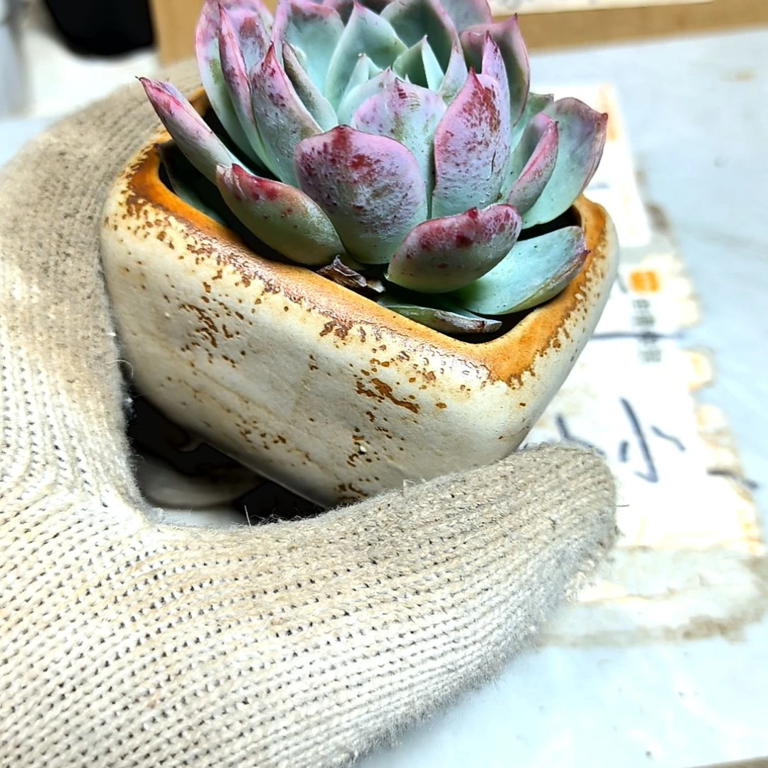 满9元包邮，加勒比海蓝