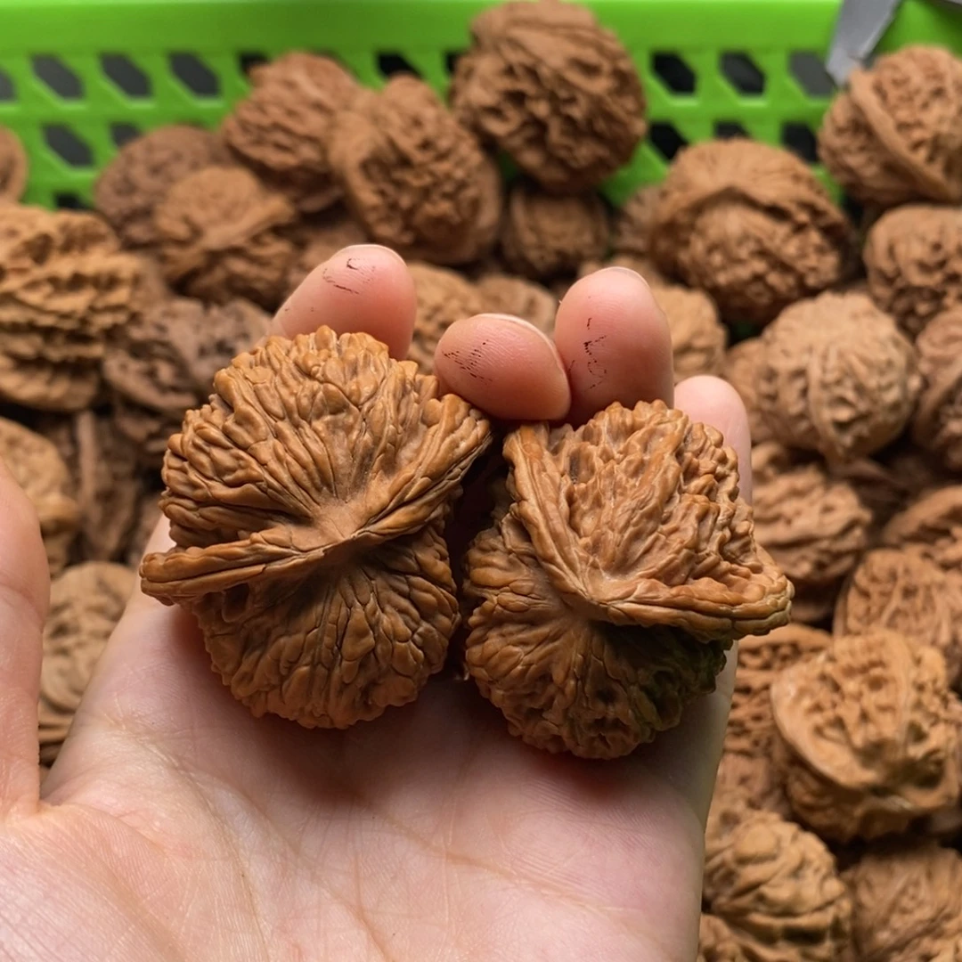 学***习核桃定制商品不退不换