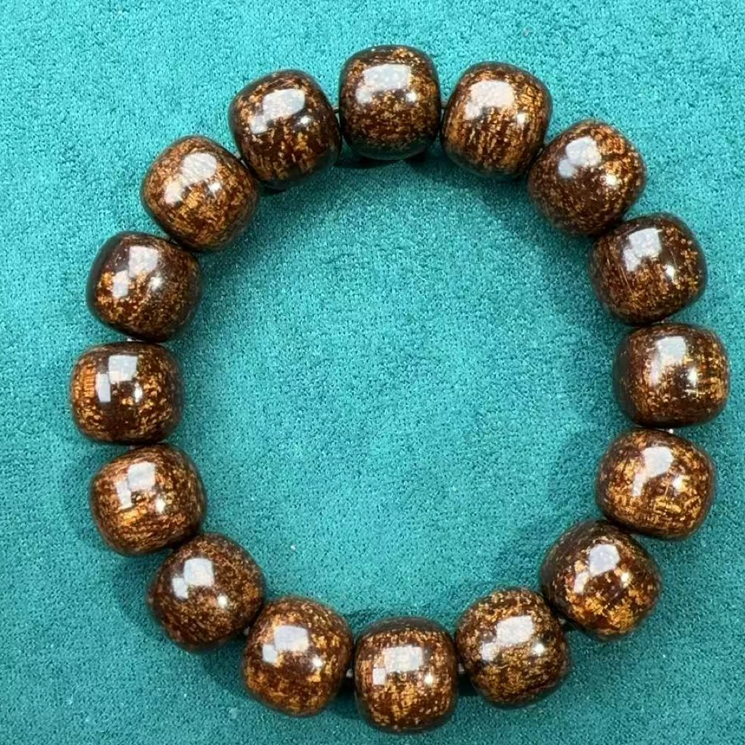 巴布亚贡木13/14爆满黑龙鳞（超一档）